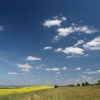 The Ridgeway, near West Ilsley, Berkshire