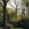 The Isabella Plantation
