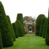 Through the topiary trees