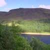 Dovestones and The Pine Forest