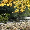 Babbling Brook