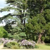 Audley End House