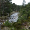 Glen Tanar near Aboyne
