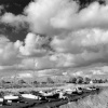Boats in Saltfleet