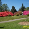 Leonardslee Gardens