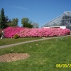 Leonardslee
