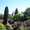 Leonardslee - the Rockery