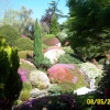 Leonardslee - the Rockery