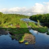The Tyne at Corbridge
