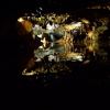 Reflections in the dark
