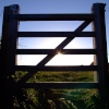 Enter