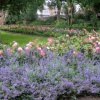 Carshalton Greater London