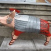 Pignacious