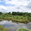 Bagworth Heath