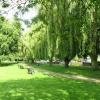 Ely Cambridgeshire