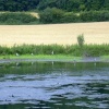 Sprotbrough Flash from the 'Heron' hide