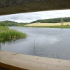 Sprotbrough Flash from the 'Kingfisher' hide