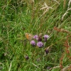 Nature Reserve