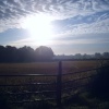 July morning