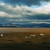 From the Foulney Embankment - gazing across to the distant fells.