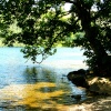 Ullswater near Glencoyne Bay. English Lakes.