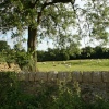 Knowle Green