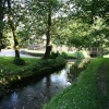 The Ford