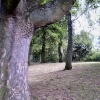 King George Park