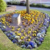 Queen Elizabeth Park