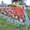 Queen Elizabeth Park