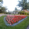 Queen Elizabeth Park
