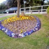 Queen Elizabeth Park