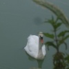 On The Adur