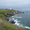 Lizard-point