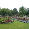 Vivary Park