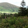Parlick Hill from Beacon Fell