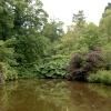 Lake at Cockington Court.