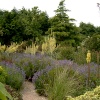 Plant World.
