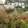 Coleton Fishacre.