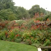 Coleton Fishacre.