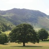 The fields and fells around Glencoyne Bay, Ullswater. English Lakes.