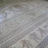Venus and cherub gladiator mosaics at Bignor roman villa