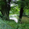 The river at Ashford