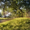 Bramote Park