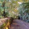 Bramcote Park