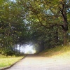 Bramcote Park