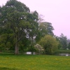 Killerton Gardens