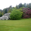 Killerton Gardens
