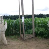 York Maze