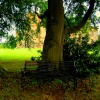 Sherborne Castle